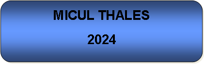 Rounded Rectangle: MICUL THALES2024