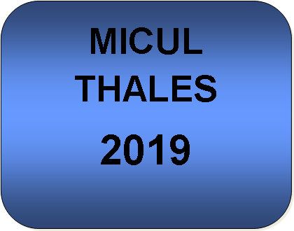 Rounded Rectangle: MICUL THALES 2019