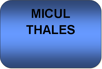Rounded Rectangle: MICUL THALES